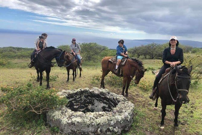Horseback Riding and Wine Tours - Introduction: A Unique Blend of Horses and Wines in Cape Town
