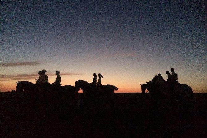 Horseback riding around Doñana - Key Points