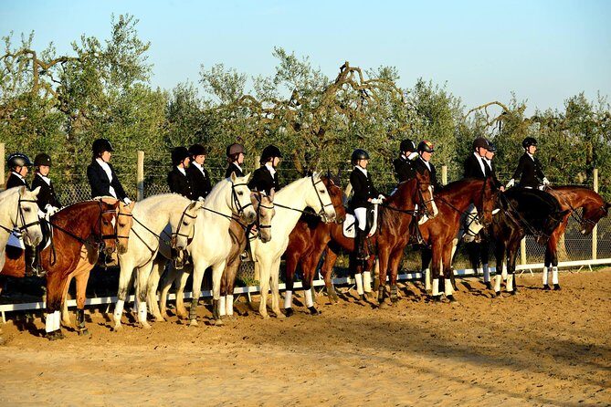 Horseback riding around Doñana - The Itinerary: What to Expect from Start to Finish