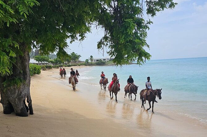 horseback-riding-at-hawksbill-beach-in-five-islands-antigua