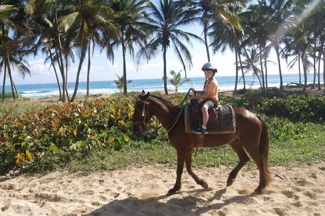 horseback-riding-at-macao-beach