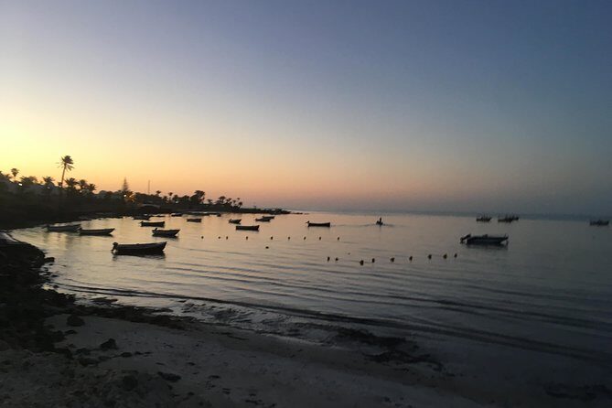 Horseback riding at sunrise 3h - Discover the Magic of a Sunrise Horseback Ride in Djerba