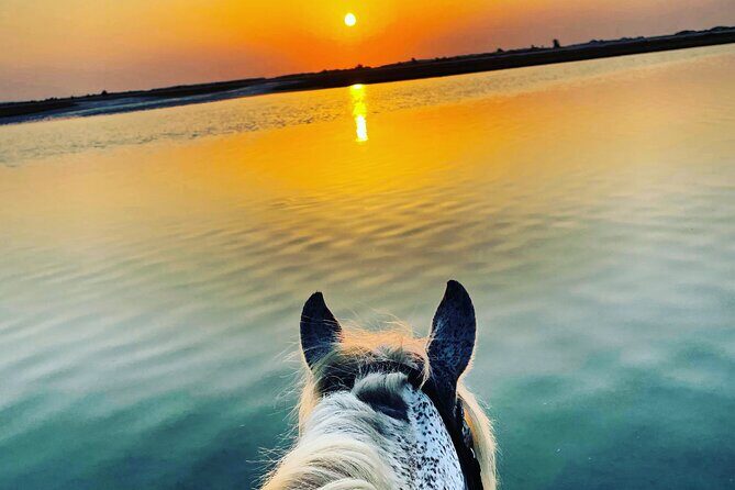 Horseback riding at sunrise 3h - Key Points