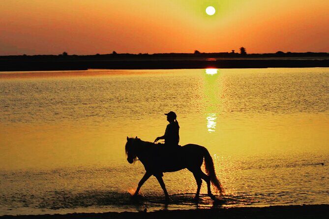 Horseback riding at sunrise 3h - Final Thoughts: Is This Experience for You?