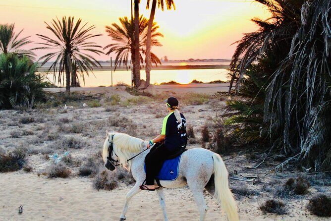 Horseback riding at sunrise 3h - FAQs