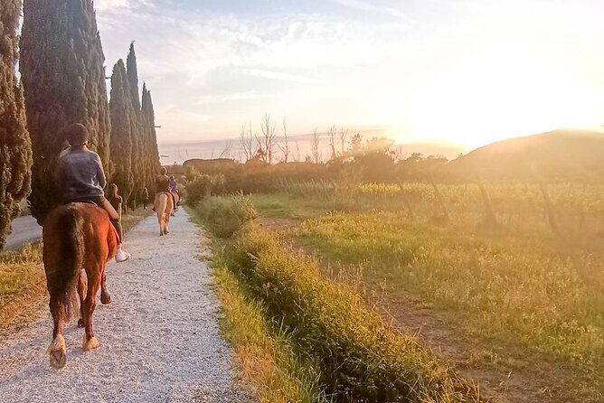 Horseback riding at sunset 1 hour at the Certosa di Pisa - The Ride: A Gentle, Scenic Journey