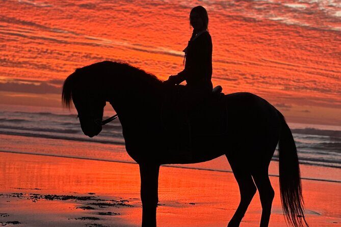 Horseback riding at sunset (2 hours) - What to Expect from the Sunset Horseback Ride in Essaouira