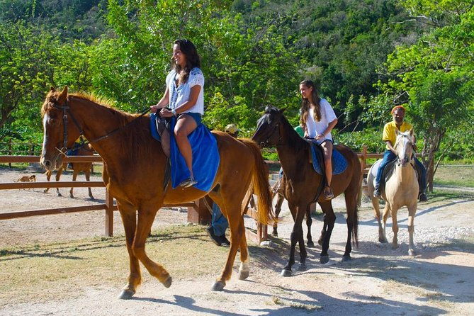 horseback-riding-atv-blue-hole-land-sea-from-falmouth