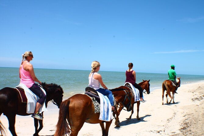 horseback-riding-blue-hole-dunns-river-river-rafting-tubing-private-tour