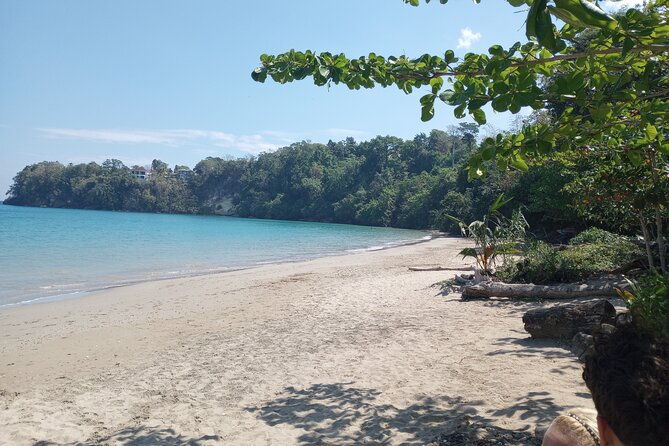 horseback-riding-blue-hole-or-dunns-river-combo