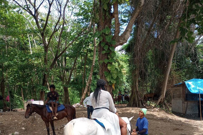 horseback-riding-blue-hole-or-dunns-river-combo