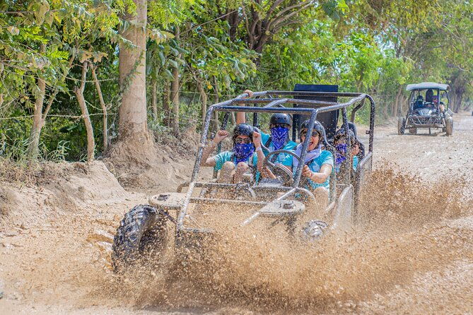 horseback-riding-buggies-in-punta-cana