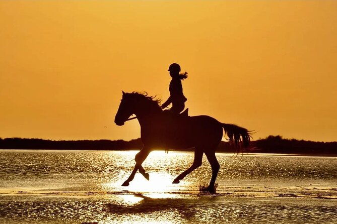 horseback-riding-by-beach-or-forest-in-manavgat-side