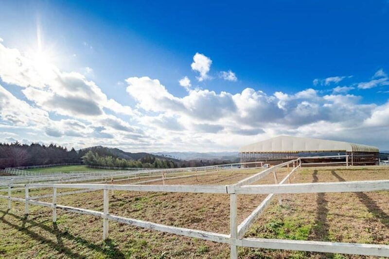 horseback-riding-club-to-learn-about-connecting-lives