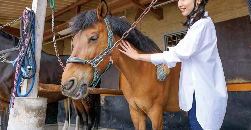 horseback-riding-club-to-learn-about-connecting-lives