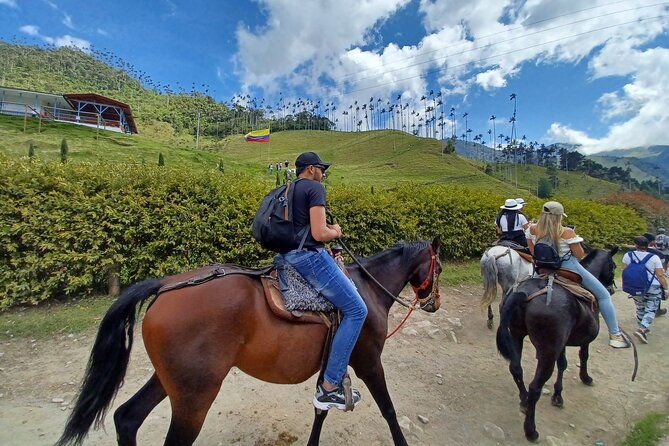 horseback-riding-coffee-farms-forest-and-river-boqueron
