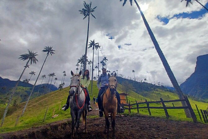 horseback-riding-coffee-farms-forest-and-river-boqueron