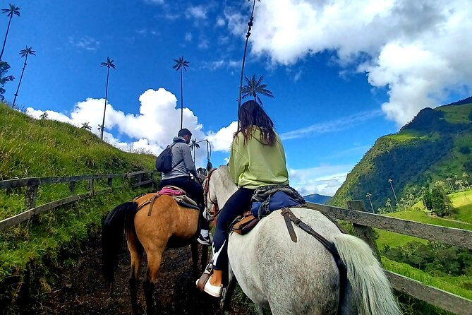horseback-riding-coffee-farms-forest-and-river-boqueron