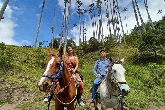 horseback-riding-coffee-farms-forest-and-river-boqueron