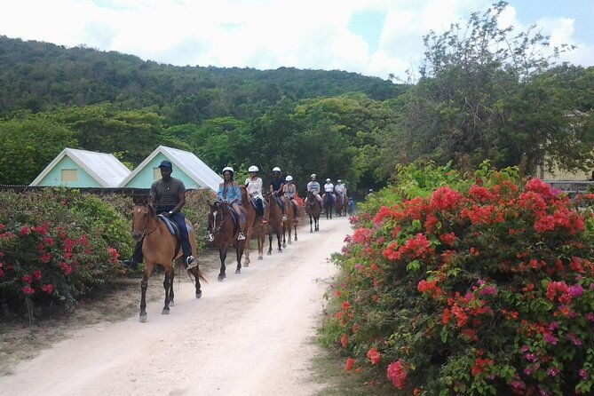 horseback-riding-dunns-river-falls-adventure-from-montego-bay