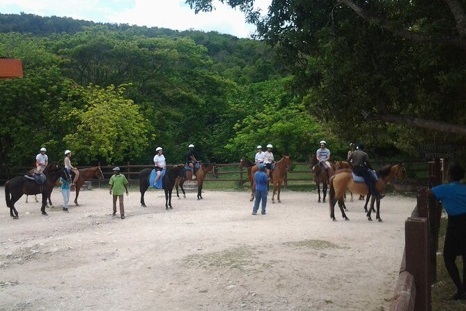 horseback-riding-dunns-river-falls-adventure-from-montego-bay