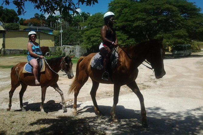horseback-riding-dunns-river-falls-adventure-from-montego-bay