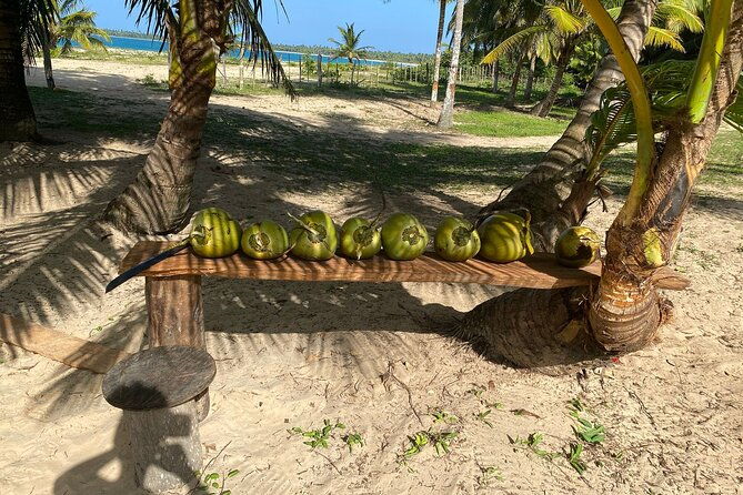 horseback-riding-experience-between-virgin-beach-and-lagoon
