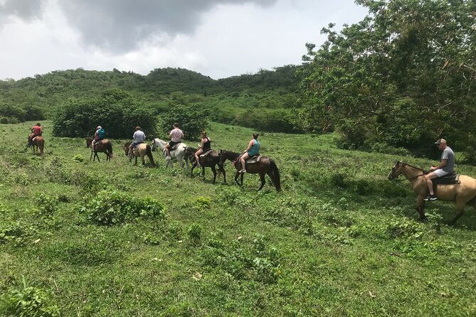 horseback-riding-experience