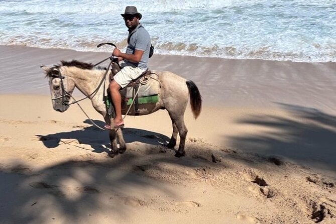 horseback-riding-experience-in-punta-cana