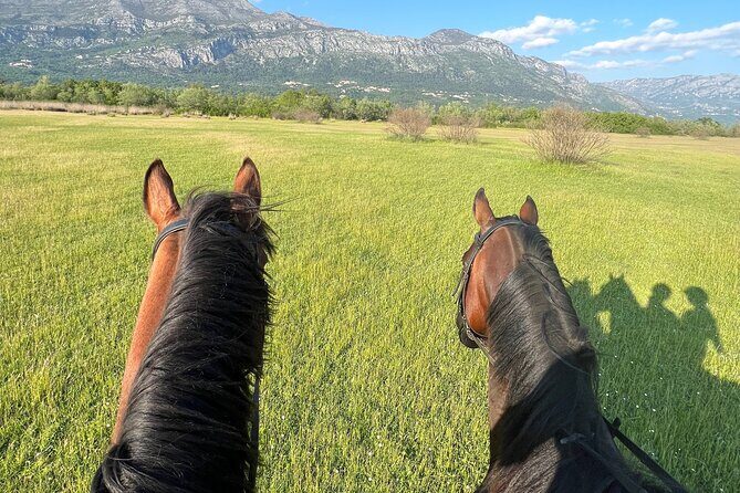 Horseback Riding Experience with transport from Dubrovnik - Why This Tour Is a Great Choice