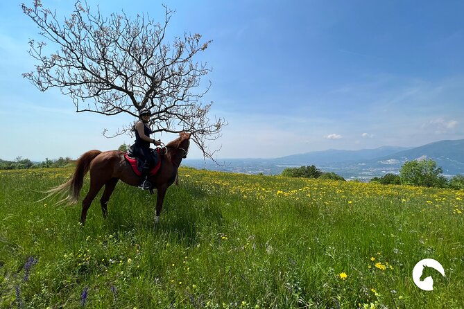 horseback-riding-for-experts-between-the-lake-and-the-mountains