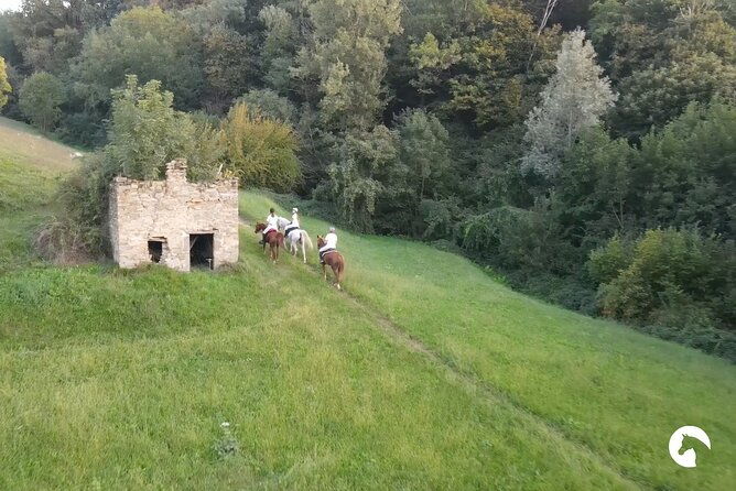 horseback-riding-for-experts-between-the-lake-and-the-mountains