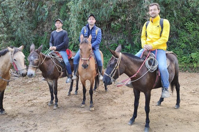 horseback-riding-from-guadalupe-to-monserrate-private-day-tour