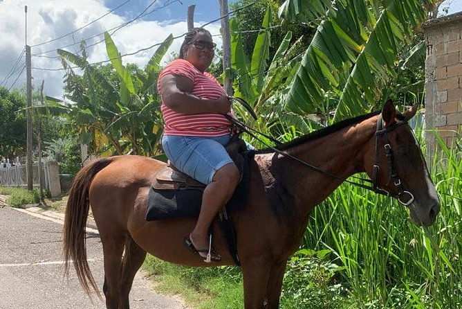 horseback-riding-from-montego-bay