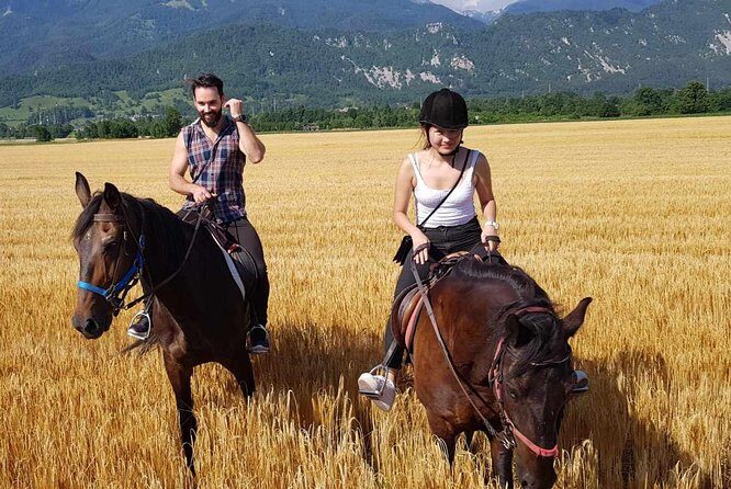 Horseback Riding In Bled - The Horses and the Guides – Friendly, Well-Cared-For Animals  
