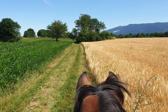 Horseback Riding In Bled - Logistics and Value – Hassle-Free and Worth the Cost  