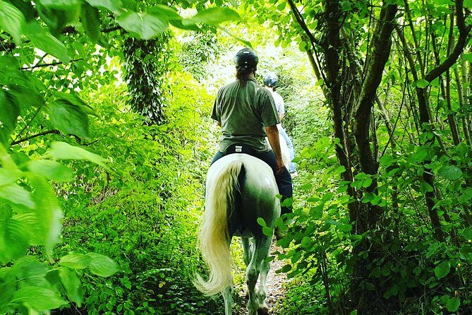 Horseback Riding In Bled - Potential Drawbacks or Considerations  