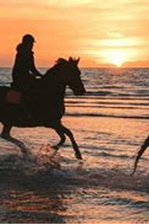 Horseback riding in Boavista for beginners - An Honest Look at What to Expect