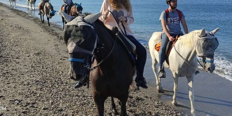 Horseback riding in Boavista for beginners - Who Will Love This Tour?