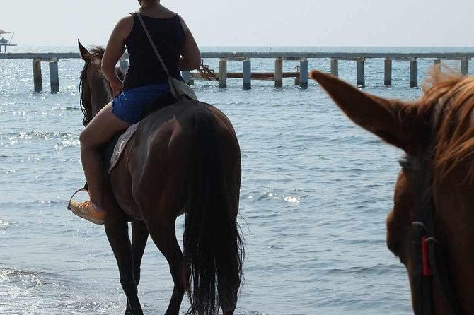 horseback-riding-in-bodrum