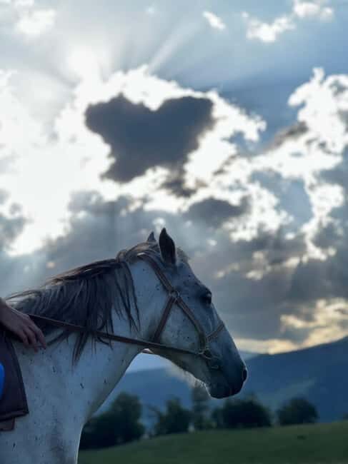Horseback riding in Dilijan - Key Points