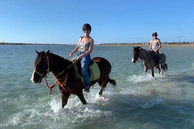 Horseback Riding in Djerba Lagoon - Key Points