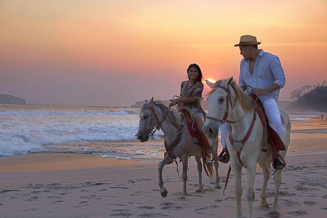 Horseback Riding in Djerba Lagoon - An In-Depth Look at the Horseback Ride Experience