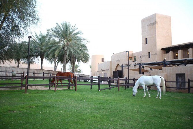 Horseback Riding in Dubai Desert with Transfers - Key Points
