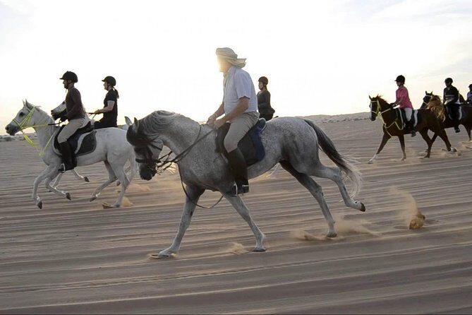Horseback Riding in Dubai Desert with Transfers - The Ride Itself: What You Can Expect