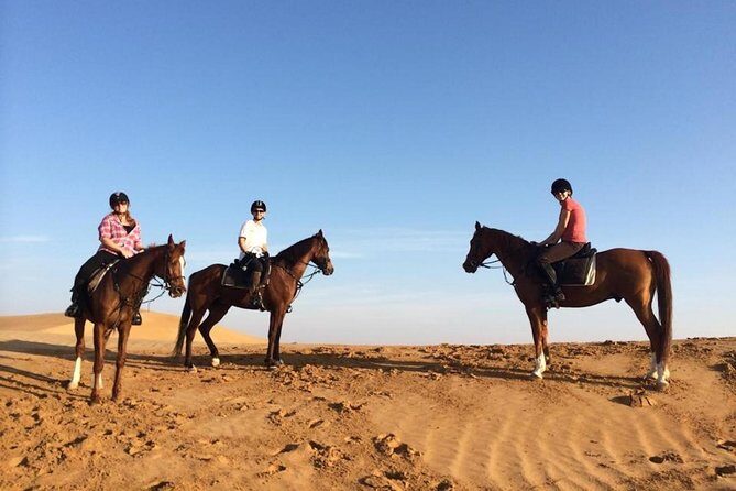 Horseback Riding in Dubai Desert with Transfers - FAQ