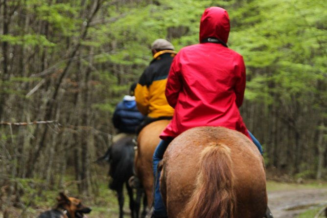 horseback-riding-in-escondido-lake
