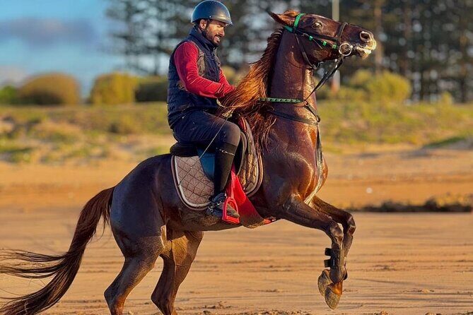 Horseback riding in Haouzia - Key Points