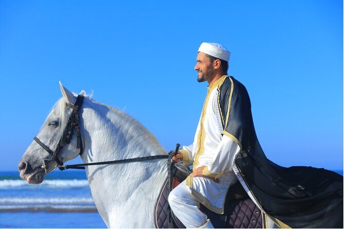 Horseback riding in Haouzia - An Overview of the Horseback Riding Experience