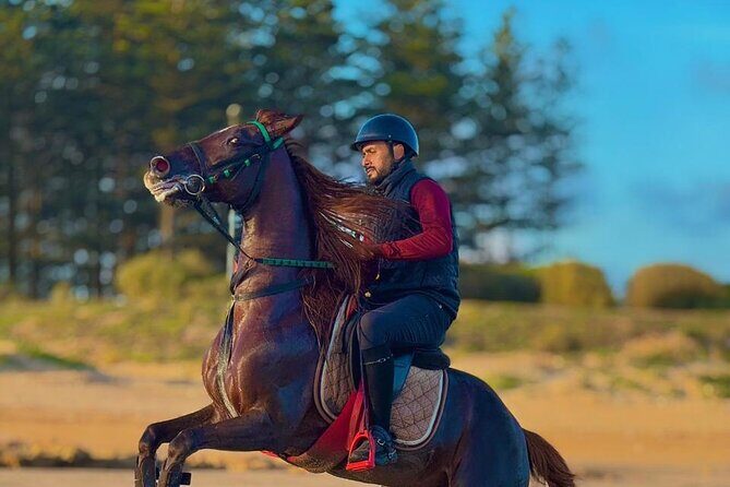Horseback riding in Haouzia - Practical Details
